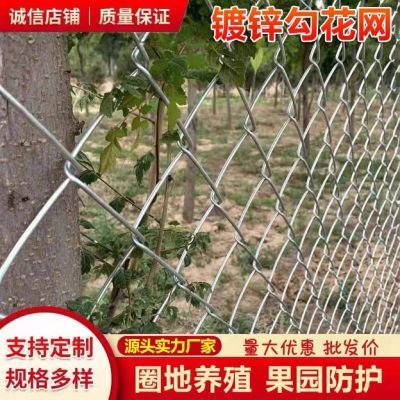 热镀锌镀锌围栏网菱形勾花网养鸡牛羊养殖网钢丝网果园网格加粗防