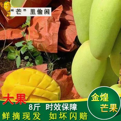 大金煌芒广西时令黄皮芒果新鲜果地直发南方甜果孕妇季节水果8斤