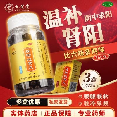 九芝堂桂附地黄丸360丸温补肾阳虚 腰膝酸软肢冷尿频补肾药肾虚