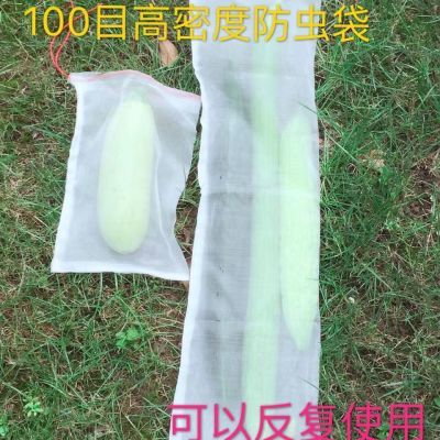 100目瓜果防虫网防果蝇针锋网袋苦瓜黄瓜丝瓜套袋 尼龙网加厚