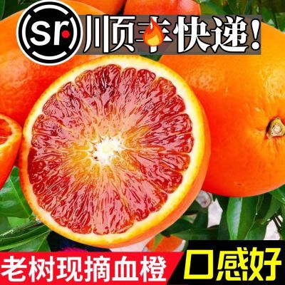 【次日达】橙子正宗新鲜血橙超甜薄皮整箱当季水果冻塔罗科红心橙