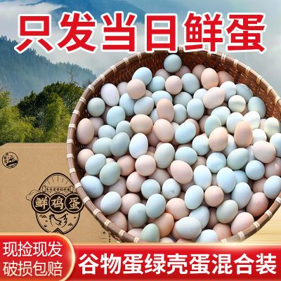 【我老家】农家散养谷物蛋乌鸡蛋绿壳蛋混合装新鲜整箱发20-50枚