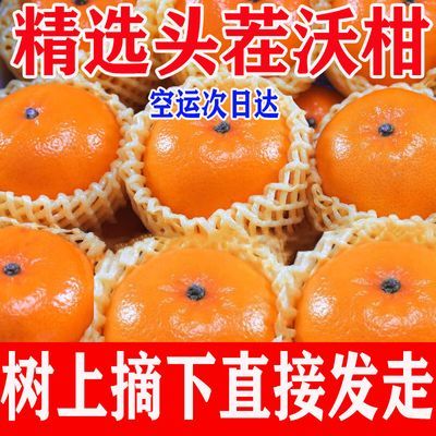 【已卖10万】正宗云南沃柑水果贵妃柑当季新鲜应季水果橘子现货