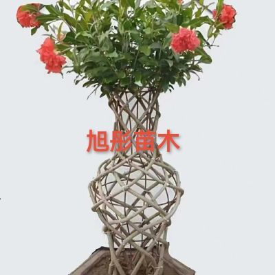 石榴手艺花瓶造型牡丹石榴编织造型可室内客厅网红花园庭院