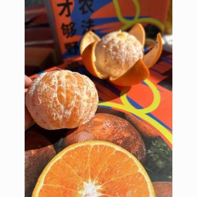 【现摘现发】云南乌柑脏脏柑丑沃柑甜桔子新鲜水果5/8斤新鲜直发