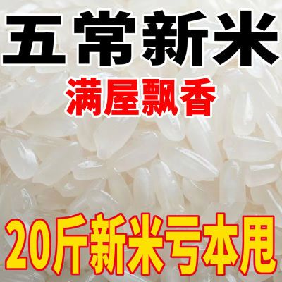 【新米上市】五常稻花香米10斤20斤长粒香米5斤厂家直销批发