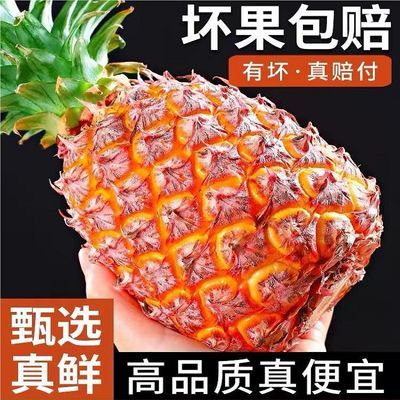 【今日特价】云南金钻凤梨爆甜香脆可口应季新鲜水果非菠萝批发价