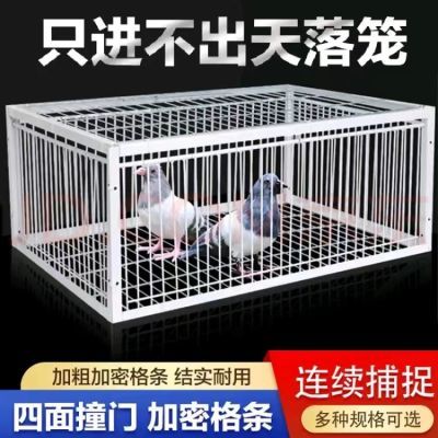 新款加密天落笼鸽子笼捕鸽信鸽用品只进不出鸽子笼跳笼拼装撞门笼