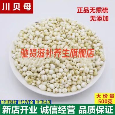 四川川贝阿坝川贝母无硫川贝正品松潘川贝正宗正宗小四川阿坝松贝