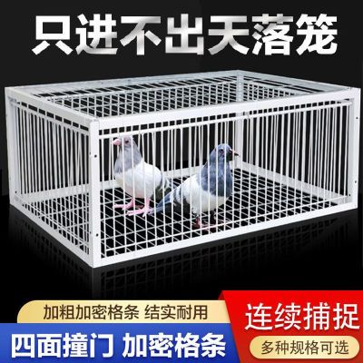 独家新款防逃天落笼只进不出鸽子笼加密撞门收鸟笼自动捕鸡笼