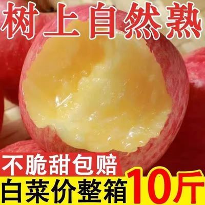 【新鲜水果】脆甜多汁冰糖心丑苹果红富士苹果当季水果一整箱批发