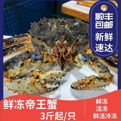 【皇帝品质】冰鲜速冻帝王蟹俄罗斯进口海鲜水产蟹超大长腿大螃蟹