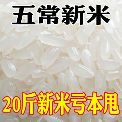 【新米】正宗五常稻香米长粒香米农家精选批发直销