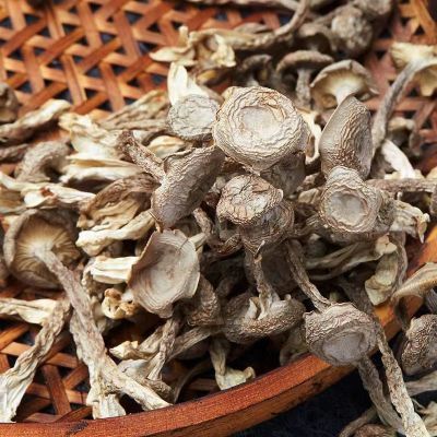 鹿茸菌菇干货新货新鲜批发香菇食用菌特产煲汤食材