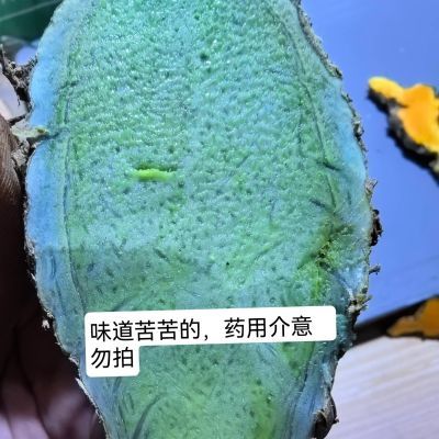 黑姜新鲜蓝姜乌姜正宗痛经黑心姜现挖绿肉姜妇科生化汤莪术可种