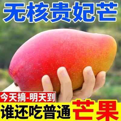 【新鲜大果】海南爆甜贵妃芒果大果装整箱批发水果应季