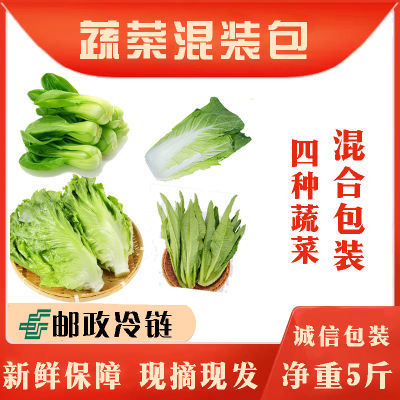 新鲜绿色蔬菜黄白菜西生菜当季时令油麦菜蔬菜包混合甜脆美味