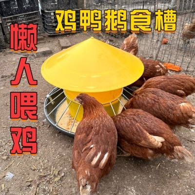 鸡鸭鹅喂料桶自动采食器重力下料家禽饲料槽喂鸡神器散养专用新款