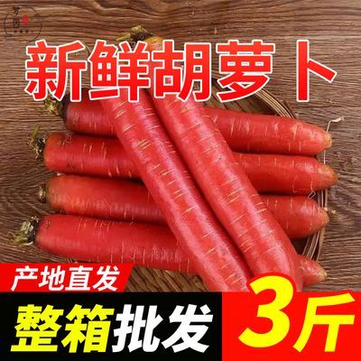 四川胡萝卜新鲜农家老品种沙地脆甜水果胡萝卜生吃榨汁辅食蔬菜