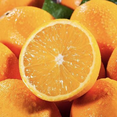脐橙纯甜薄皮礼盒装皮薄多汁正宗橙子新鲜当季水果