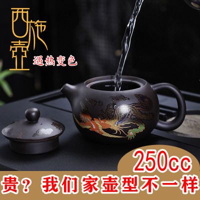 新款遇热水变色紫砂西施凤鸣壶精工半手泡茶壶250毫升变色龙凤壶