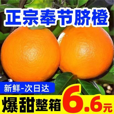 【特价】当季奉节脐橙新鲜孕妇水果橙子非江西赣南脐橙冰糖橙整箱