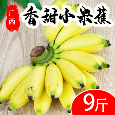 【小米蕉】广西新鲜苹果蕉香糯甜包邮应季孕妇时令带箱9斤坏包赔