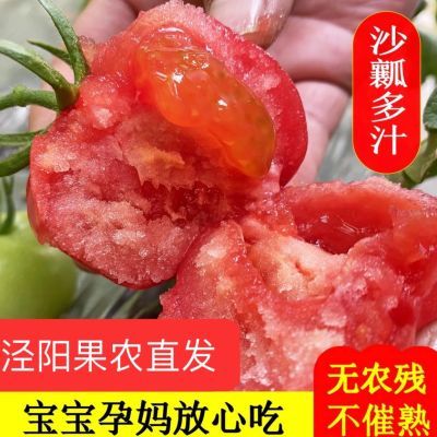 陕西泾阳沙瓤普罗旺斯水果西红柿自然熟农家老品种生吃大番茄