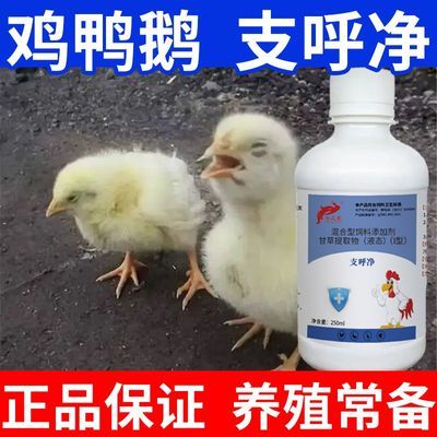 支呼净鸡鸭鹅鸽子鸟类家禽通用型正品厂家直销饲料添加剂