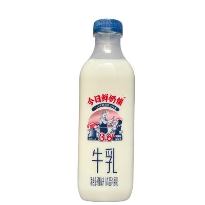 新希望今日鲜奶铺牛奶大瓶家庭装鲜牛奶纯牛奶700ml*3瓶特