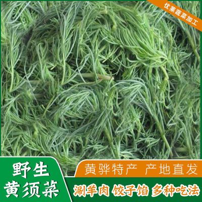 野菜黄须菜黄骅特产野生菜盐碱地碱蓬菜包饺子馅涮肉可凉拌黄须菜