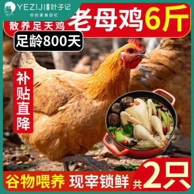 2只超大老母鸡正宗3年土鸡农家散养鸡走地鸡月子鸡现杀粮食散养