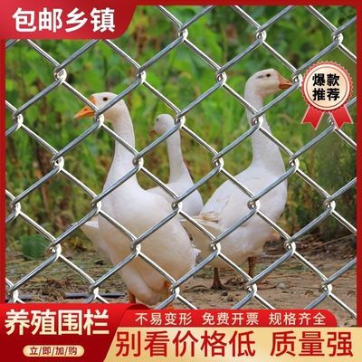 热镀锌铁丝网围栏网养鸡狗牛羊养殖网勾花网钢丝网户外防锈防护网