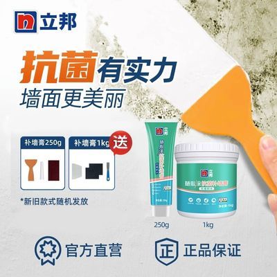 立邦补墙膏随心涂墙面修补膏补色防霉型坑洞破损白色墙体修复翻新