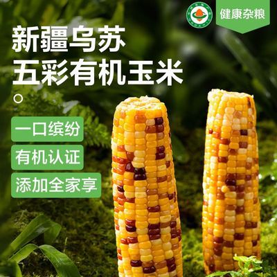网易严选有机五彩香糯玉米1kg装内含5根新疆乌苏雪水灌溉香糯
