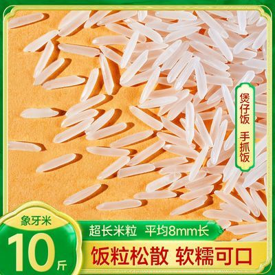 广西新鲜大米正品象牙米长粒香现磨现发煲仔饭大米批发5斤 10斤装