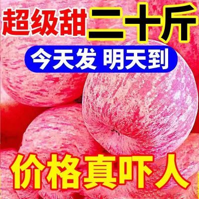【爆甜】陕西红富士苹果当季新鲜冰糖心脆甜丑苹果水果批发一整箱
