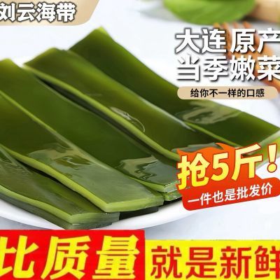 新鲜盐渍海带条商用海带厚片麻辣烫串串火锅食材批发无沙特厚海带