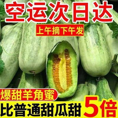 【商超品质】头茬羊角蜜甜瓜新鲜当季水果蔬菜一整箱包邮价