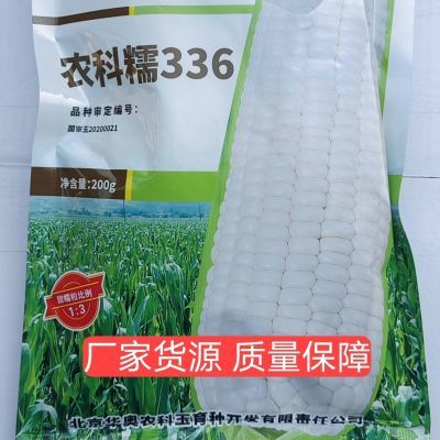 农科玉农科糯336糯玉米杂交种籽甜糯鲜食玉米正品原厂