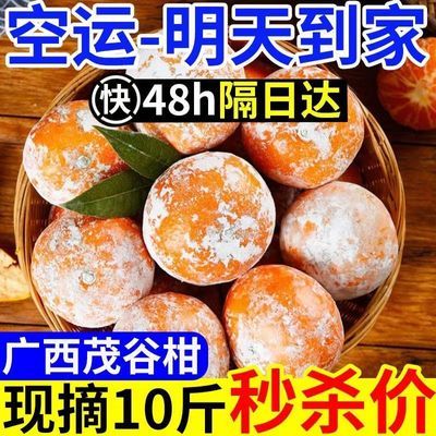【精选】茂谷柑大果10斤当季新鲜水果脏脏柑皮薄柑橘桔子广整箱西