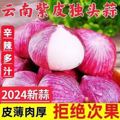 2024云南大理紫皮独头蒜大蒜头蔬菜独头蒜新鲜现挖红皮鲜蒜包邮。