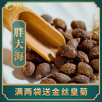 正宗胖大海特级特一级散装搭配菊花茶清热化痰保护嗓子去火润喉咙