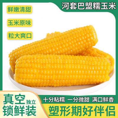 内蒙古玉米新鲜糯玉米真空包装袋非东北粘糯玉米非转基因玉米粗粮