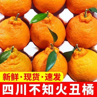 四川不知火丑橘10斤水果新鲜当季整箱年货丑粑粑八怪桔不橘子知