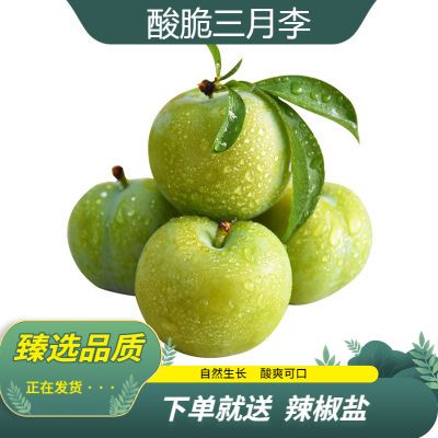 【现摘现发】三月李子新鲜当季青皮孕妇大水果酸脆爽口整箱3/5斤