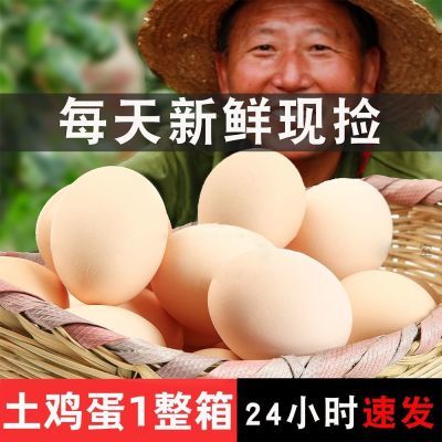 舌尖上的玉食散养正宗农家土鸡蛋50枚新鲜虫草月子蛋营养大个现货