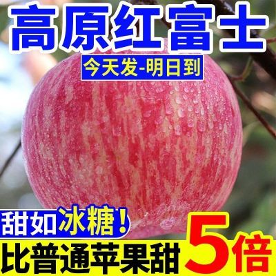 【爆甜】新鲜水果脆甜丑苹果冰糖心红富士苹果脆甜应季一整箱批发