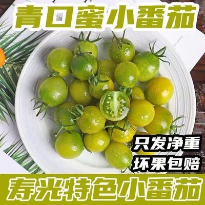 彩色番茄青口蜜绿色小番茄圣女果寿光特产绿色圣女果绿宝石新鲜