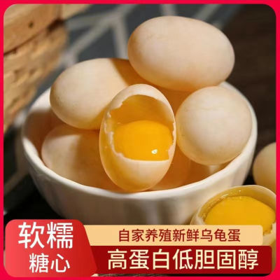 乌龟蛋可食用的乌龟蛋原生态新鲜营养食材宝宝辅食高蛋白